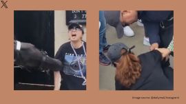 The video shows the Royal Guard horse biting a woman (Image source: @dailymail/Instagram)