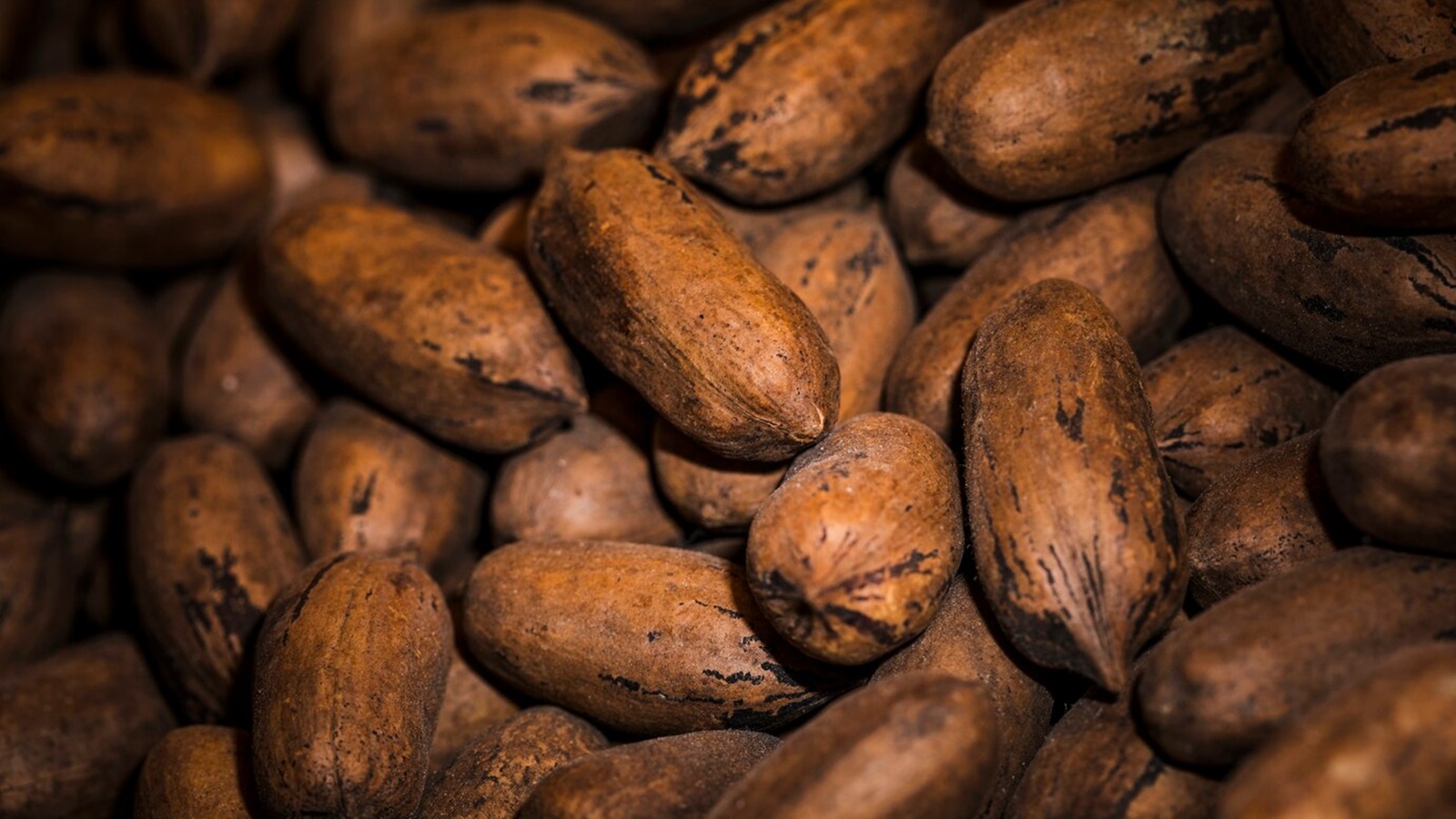 Tamarind Seeds and Arthritis: Experts Weigh In on the Claims