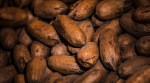 tamarind seeds