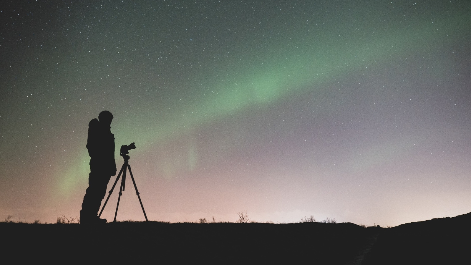 From Blue Moon to Perseid Meteor Shower: Astronomical events in August 2024