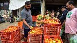 Local vendors attributed the high retail prices to a sharp increase in wholesale prices of tomatoes at Rs 50-60 per kg.
