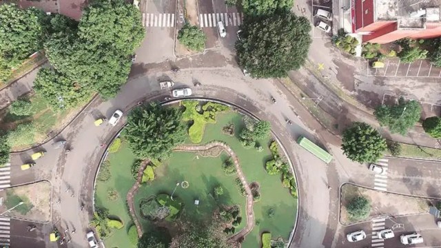 chandigarh tree map