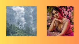 A look at the top five viral videos of the day (Image source: @divyaagarwal_official Instagram, X)