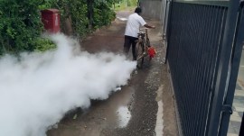 Pune zika virus