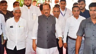 Maharashtra Assembly elections, Ajit Pawar, NCP, Mahayuti alliance partners, Madha seat, Solapur, Sharad Pawar, Indapur seat, BJP, BJP leader Harshvardhan Patil, Indian express news