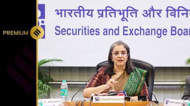 sebi, madhabi buch, hindenburg report