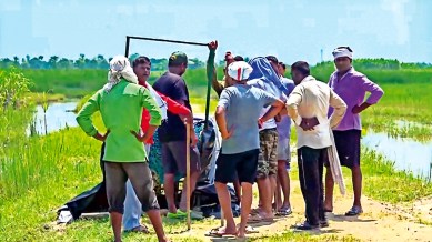 wolf in Bahraich, Bahraich, Uttar Pradesh Forest Department, up Forest Department, Lucknow news, Uttar pradesh news, Lucknow, India news, Indian express, Indian express India news, Indian express India