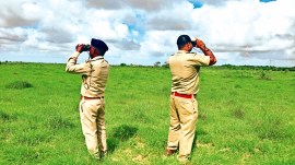 Gujarat forest department, forest department, Lesser Florican Census, Census, Abdasa, Mandvi, Nakhtrana, Lakhpat, Bhuj, Bhachau and Rapar talukas, Ahmedabad news, Gujarat news, India news, Indian express, Indian express India news, Indian express India