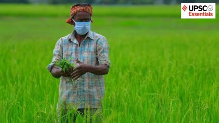 Sustainable agriculture for climate resilience and food security