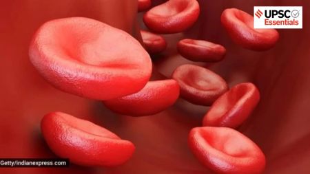 CAR-T cell therapy: What is it and how does it work