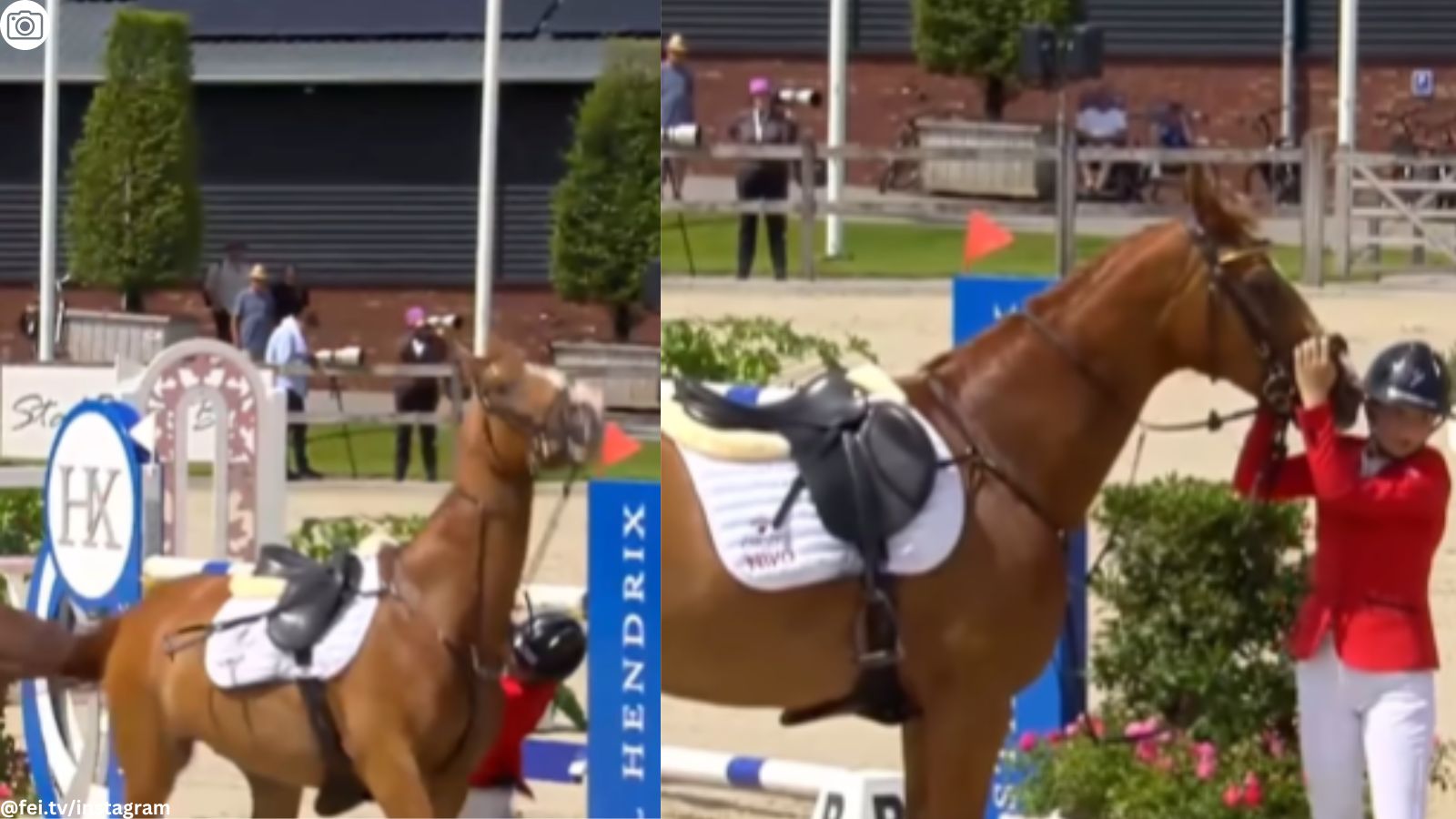 WATCH: Horse unseats 15-year-old rider during championship; what ...