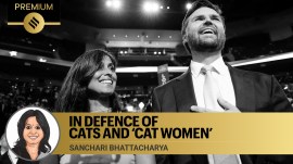 cats and cat women