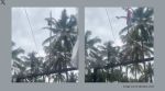 A bird appears to fly from nowhere and unfurl the flag during the Independence Day celebration in Kerala (Image source: @shilpa_cn/X)