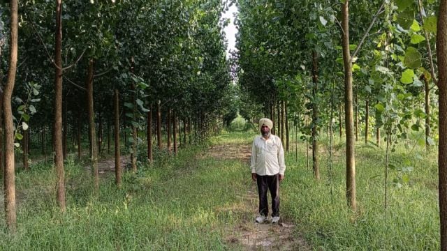 Punjab