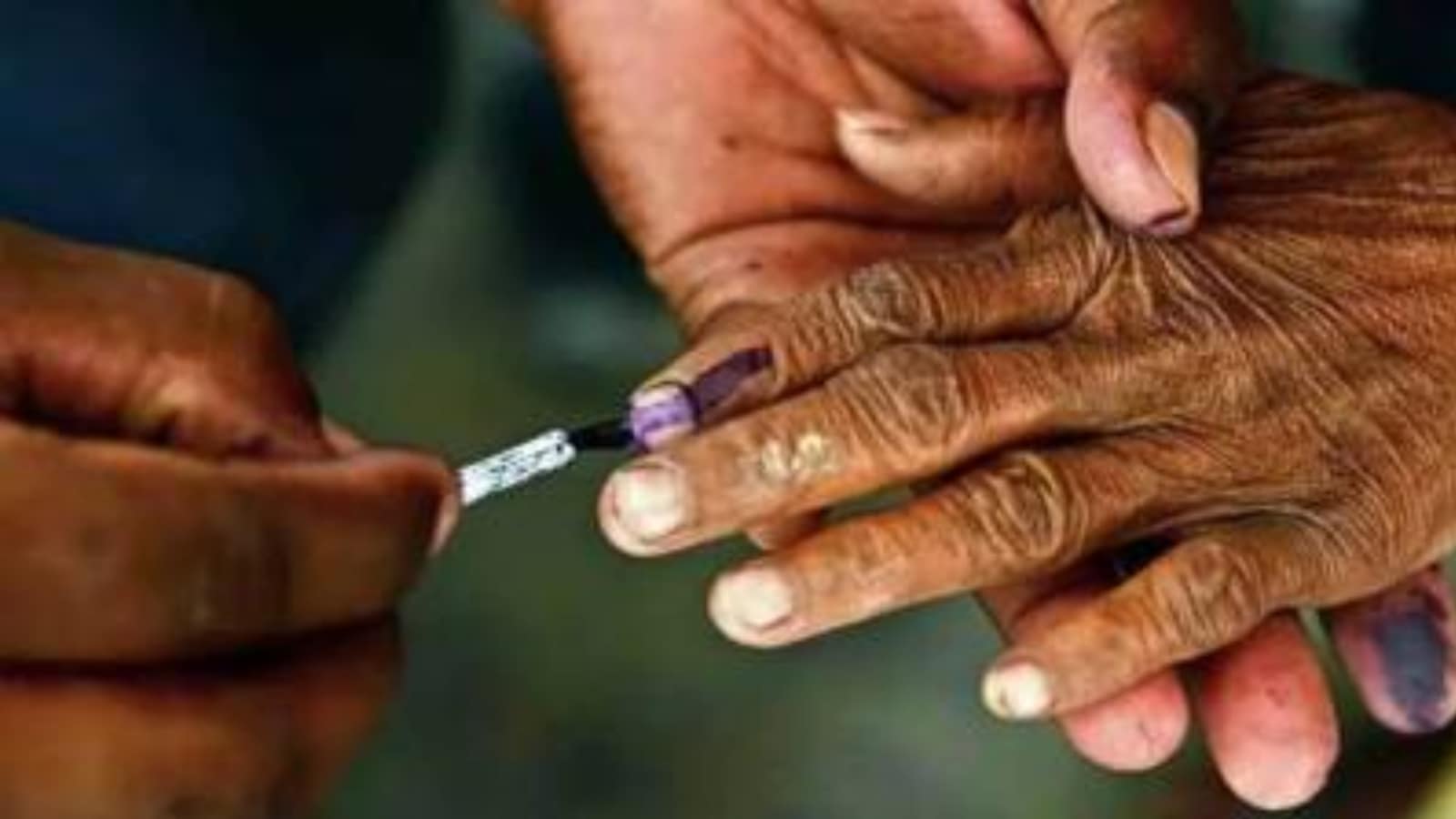 The nominee of the ruling BJP, which has 41 members in the 87-member Haryana Vidhan Sabha is all set to win in the absence of adequate numbers in the Opposition.