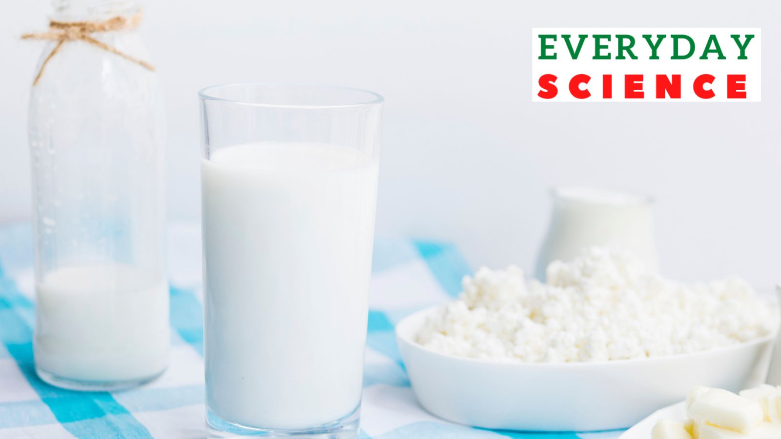 FSSAI cow milk cottage cheese