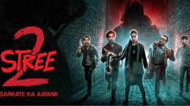 Stree 2 released on August 15 and is already on its way to become one of the biggest blockbusters of all times.