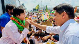 congress haryana, vinesh phogat