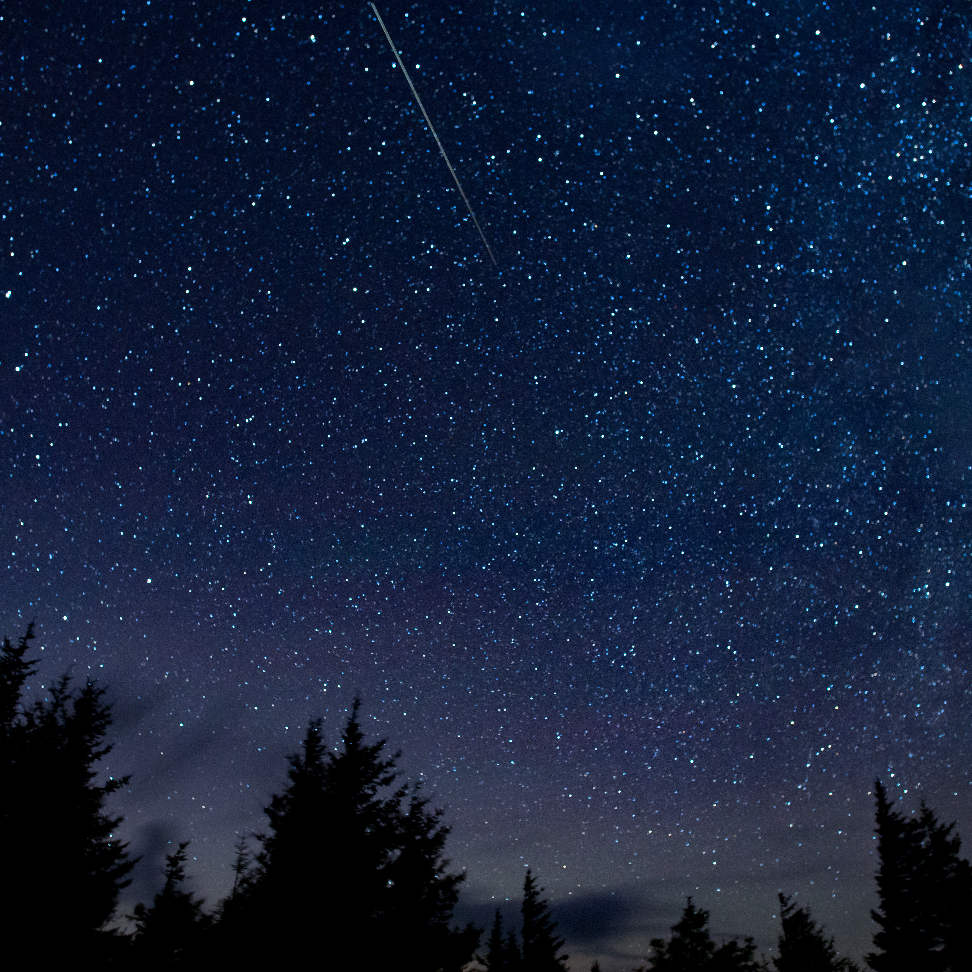 Perseid meteor shower 2024 peaks this weekend How to watch it live