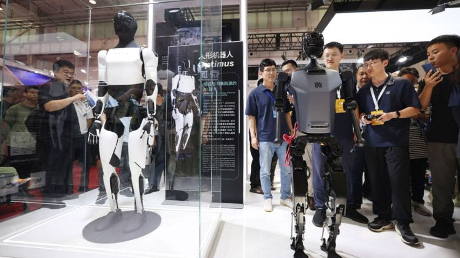 Tesla's Optimus humanoid robot on display at the World Robot Conference 2024 in Beijing, China.