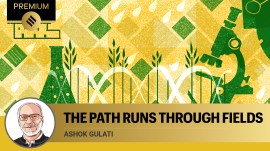 The path runs through fields_Premium-01 agriculture