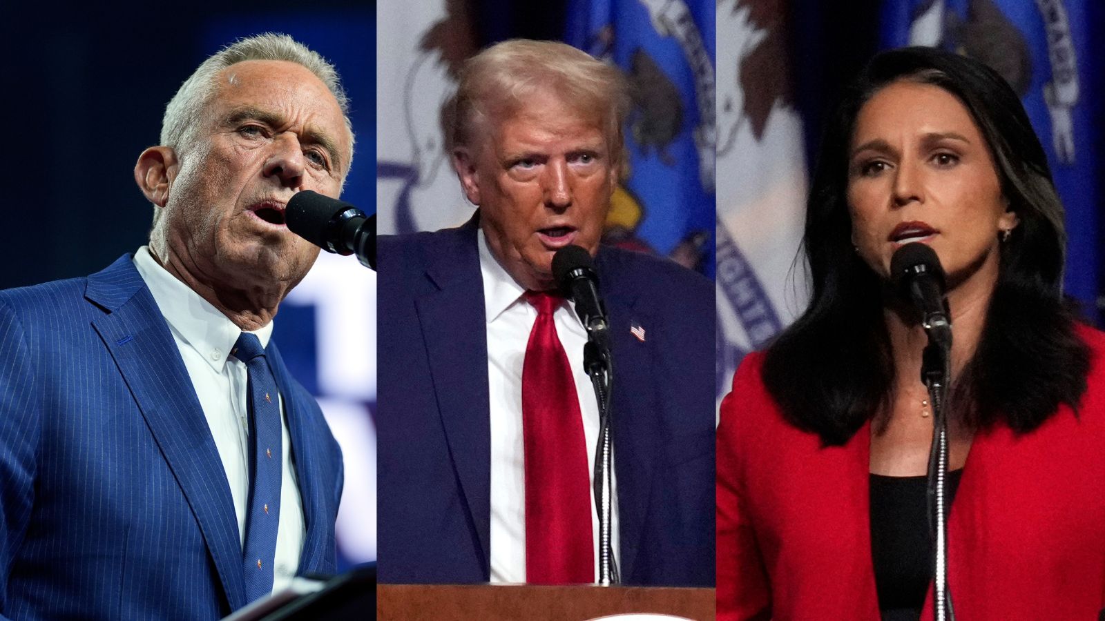 Trump adds RFK Jr. and Gabbard to transition team World News The