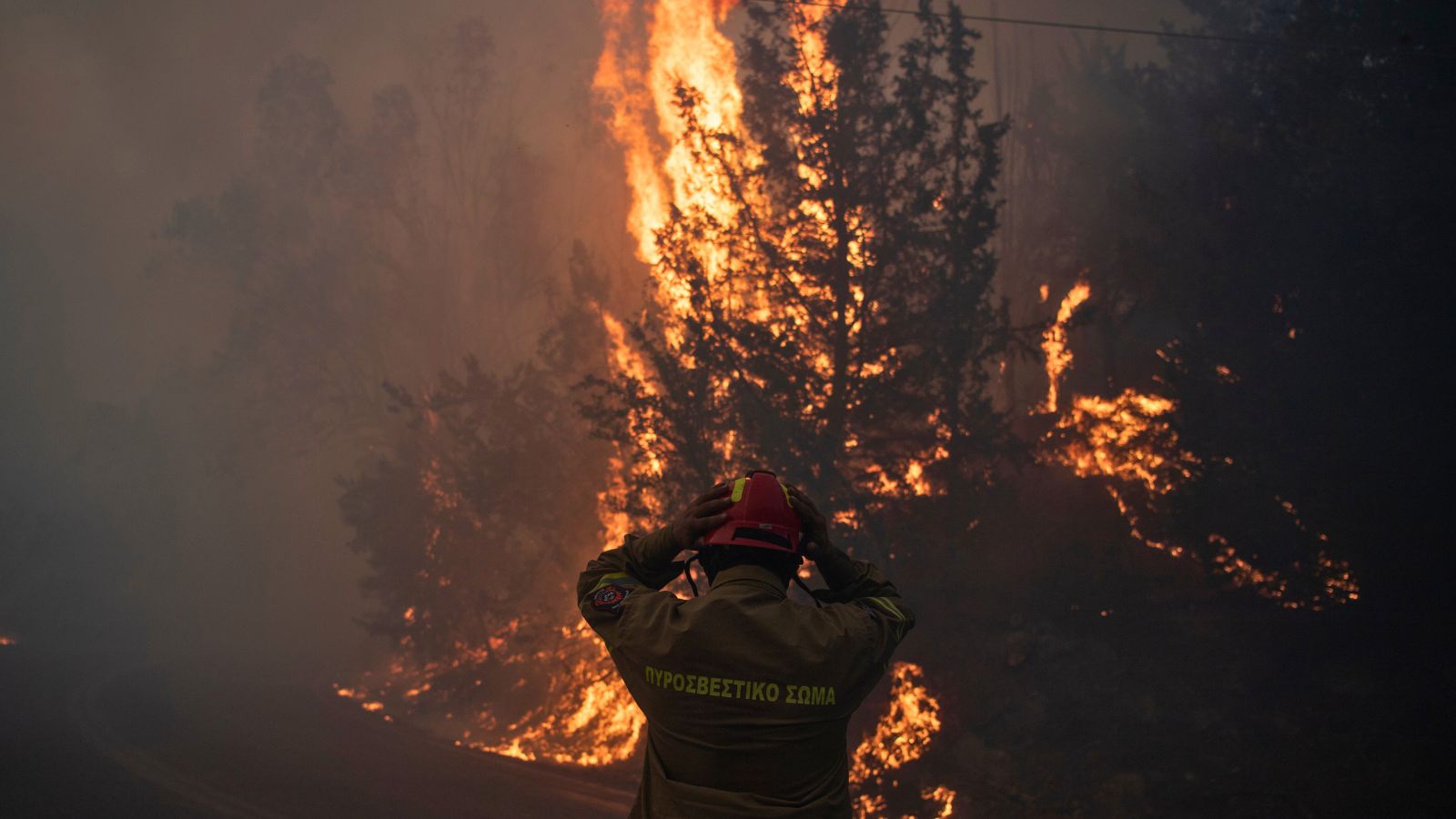 Residents flee as wildfire near Athens spreads rapidly | World News ...
