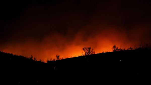 Athens wildfire