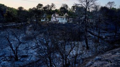 Greece Wildfire