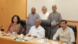 Balakrishnan commission, SC status