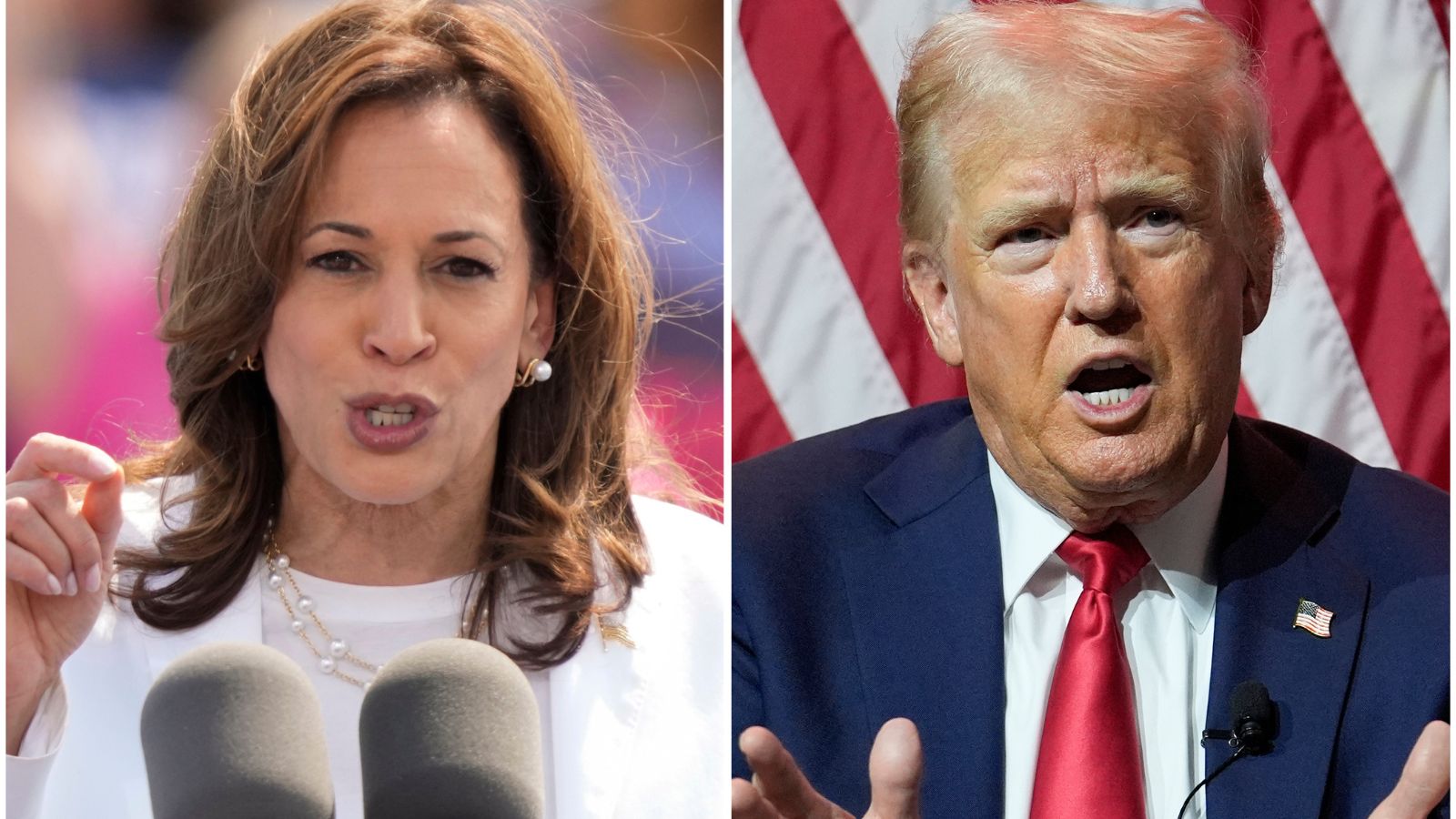 Trump and Harris advocate for ending taxes on tips: What are the challenges?