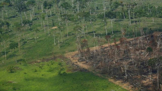 In the Amazon, which covers nearly 40% of South America, deforestation is usually linked to agricultural expansion and illegal mining. This drastically increased under Lula de Silva's predecessor, Jair Bolsonaro.