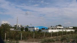 The automated carcass processing plant automated plant