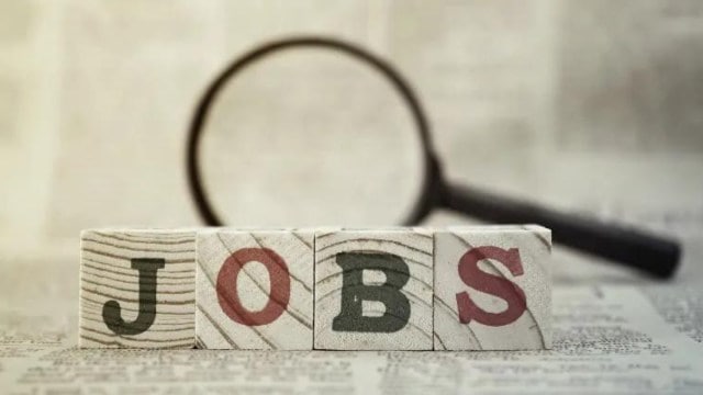 FMCG top recruiter for freshers, Bangalore leads in hiring: Career Outlook Report