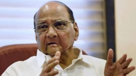 NCP Sharad Pawar