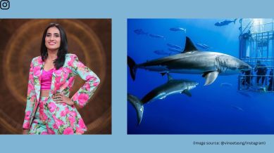 Vineeta Singh shared a picture of people trapped in a cage and surrounded by sharks (Image source: @vineetasng/Instagram)