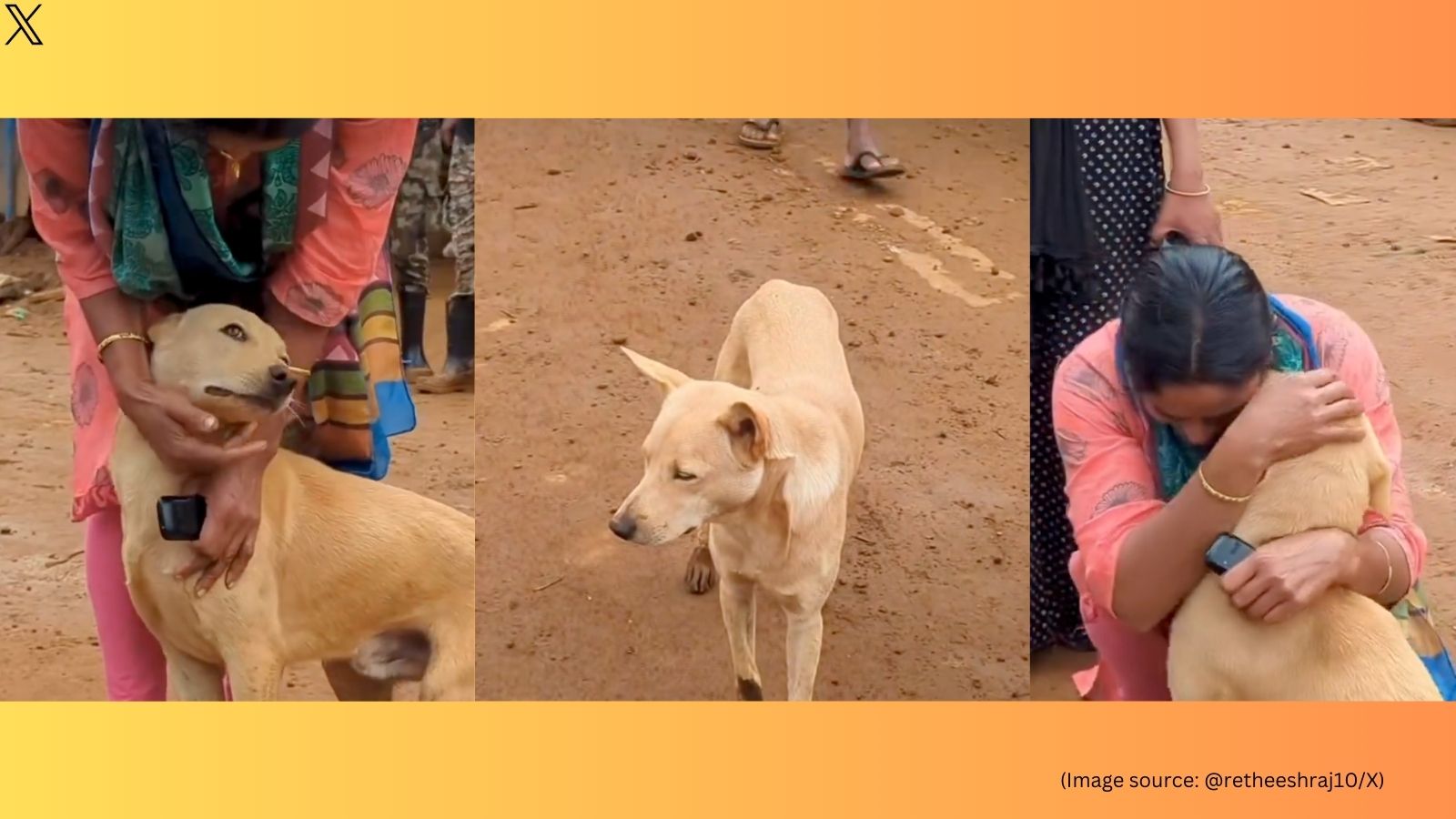 Viral video shows dogs reunion with owner 6 days after Wayanad landslides:  incredibly heartwarming | Trending News - The Indian Express