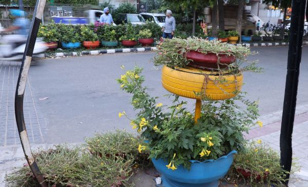 ludhiana, polluted, punjab, tyres turn into planters, brs nagar, ludhiana municipal corporation, environment, green, indian express