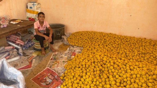 Young Anshaj Kumar guarding the 750kg ladoos in the temple room.