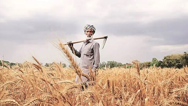 Krishi-Decision Support System (K-DSS), K-DSS, platform to support farmers, Krishi-DSS farmers support platform, Bhagirath Choudhary, Krishi-DSS, express news, India news