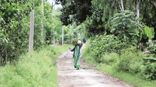 Bareilly serial killing case, Bareilly serial killer arrested, UP sexual assaulkt case, Kuldeep Kumar Gangwar arrest, UP police, UP crime, UP crime news,Indian express news