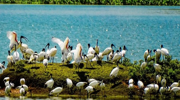 UPSC Key | Atacama salt flat, New Ramsar sites, Simultaneous elections and more