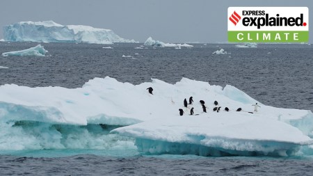 What’s causing Antarctica’s deep-winter heatwave, what could be its fallout?