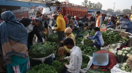 This decline in WPI inflation aligns with the retail inflation data for July. (Express Photo)