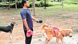 dog walking, delhi dog walkers job, Angrez Singh, simba, delhi pets, delhi dog walkers, dog walkers charges, delhi dog waking, Indian express news