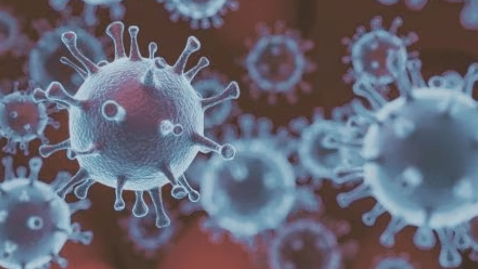 The treatment is symptomatic and is similar to what is given in other arboviral (insect-borne) infections.