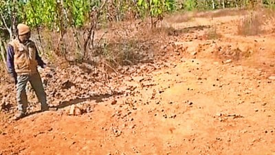 elephant carcass, elephant carcass burning, MP tiger reserve, tiger reserve, Madhya Pradesh, Bandhavgarh Tiger Reserve, Indian express news, current affairs