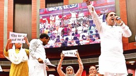 AAP, Aam Aadmi Party AAP, MCD, Shelly Oberoi, delhi news, India news, Indian express, Indian express India news, Indian express India