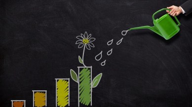 Corporate finance to wealth management: Certificate courses in finance you can apply for