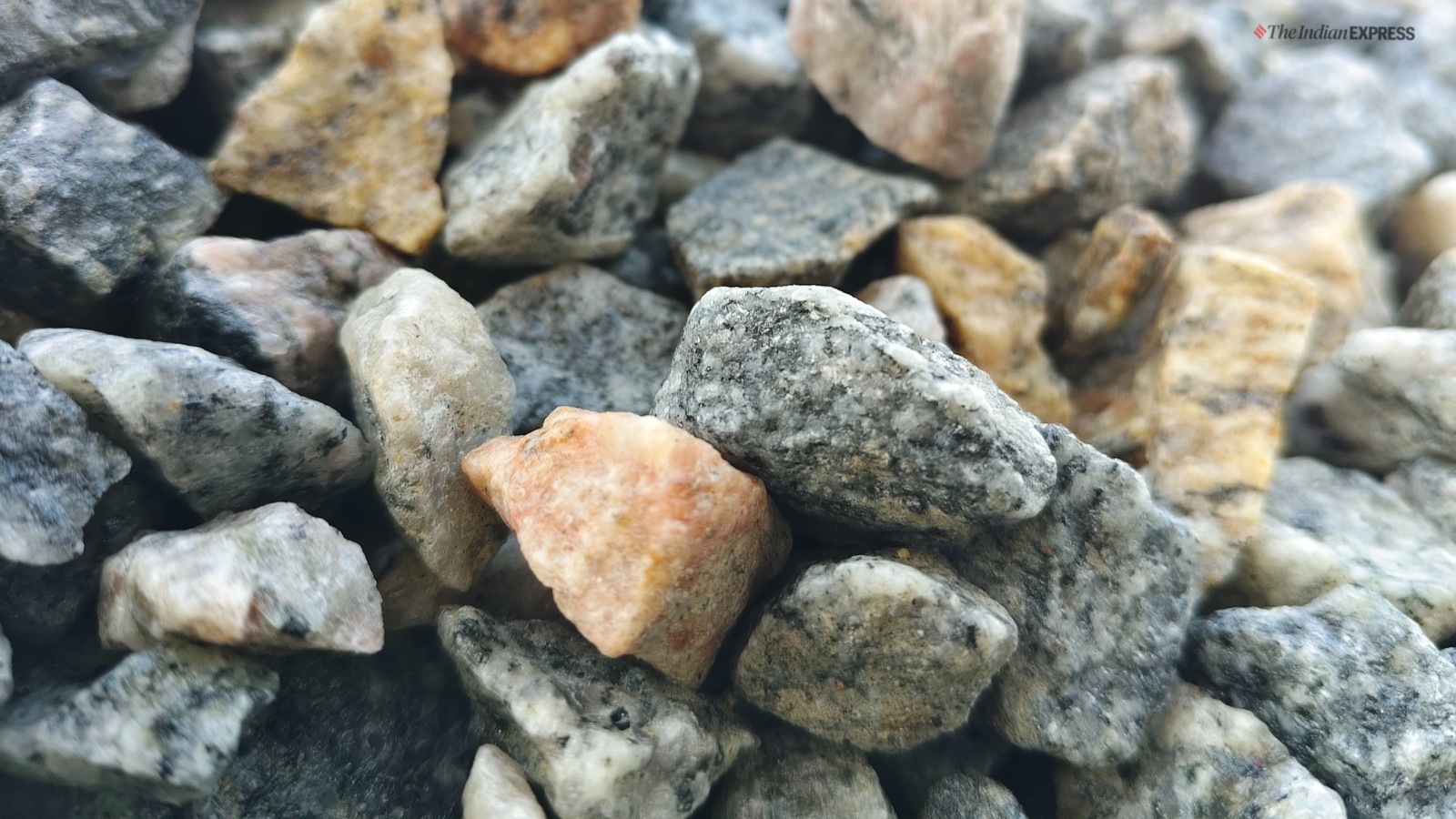 iQOO Z9s Pro camera sample